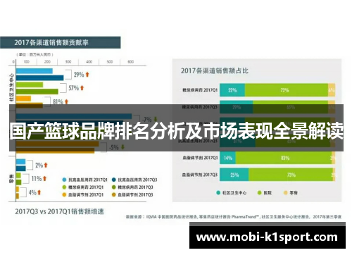 国产篮球品牌排名分析及市场表现全景解读