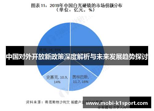 中国对外开放新政策深度解析与未来发展趋势探讨