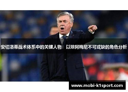 安切洛蒂战术体系中的关键人物：以琼阿梅尼不可或缺的角色分析