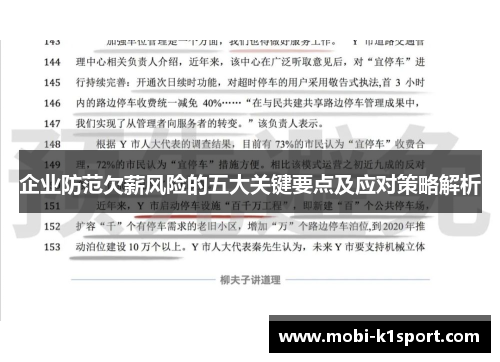 企业防范欠薪风险的五大关键要点及应对策略解析