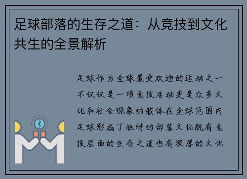 足球部落的生存之道：从竞技到文化共生的全景解析